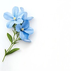 Naklejka premium Springtime theme, greeting card. Blue flower, copy space white background, masterpiece, high quality