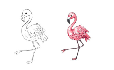 Graceful Pink Flamingo Illustration with Watercolor Effect for Tropical and Decorative Art Projects