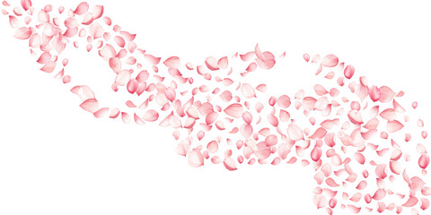 Flying tree blossom petals falling vector abstract background