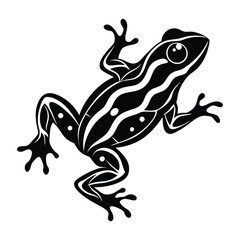 frog of vector  on white background