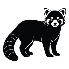 black and white bear  on white background