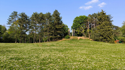 spring in the public park in sunlight