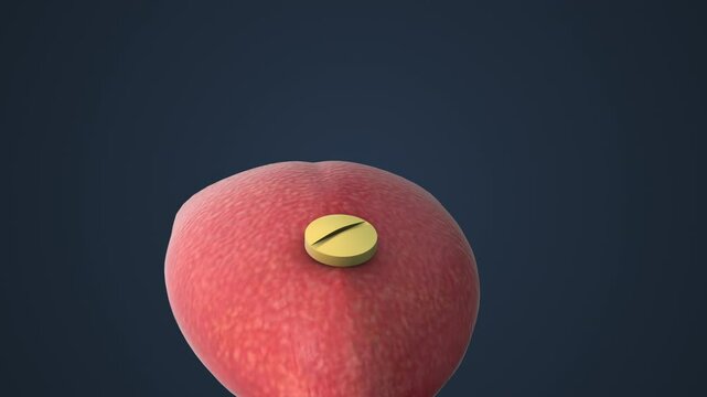 Molecule Adsorption on Tongue Receptors