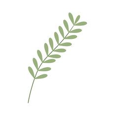 Hand drawn leaf illustration 