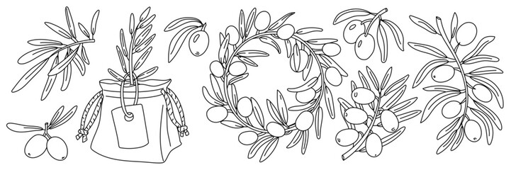 set of olive branches, contour. Twigs, a sprout, wreath of fruits. Isolated illustration on white background. An environmentally friendly product with olive oil content. the symbol of natural product
