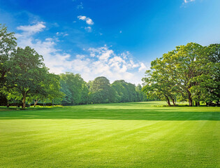 Obraz premium 芝生の公園と青空