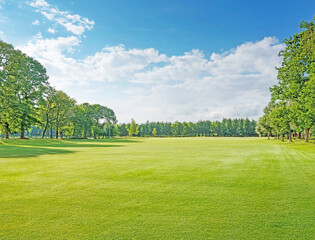 Naklejka premium 芝生の公園と青空