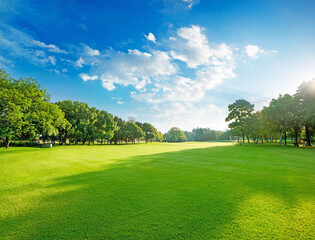 Obraz premium 芝生の公園と青空