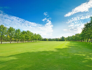 Obraz premium 芝生の公園と青空