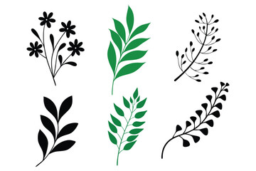 Botanical floral set black and white icons set leaf's vector illustration.