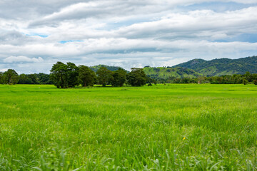 The very beautiful nature in sri lanka, also called the pearl of the Indian ocean. Travel in Asia