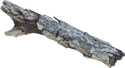 Dry branch tree naturally.