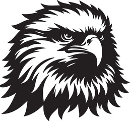 eagle vector illustration