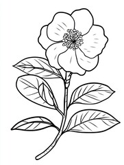 A Single Flower with Leaves Line Drawing