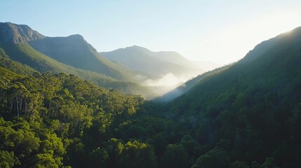 Fototapeta premium Sunrise over lush green valley, misty mountains, aerial view, nature scene, travel poster