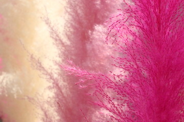 A beautiful floral set of Pink flower for background