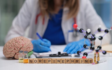 A detailed exploration of norepinephrines important role in the brain and its complex chemical...