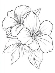 Obraz premium Elegant Line Drawing of Two Hibiscus Flowers