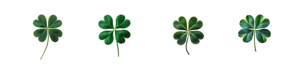 clover leaf (png)