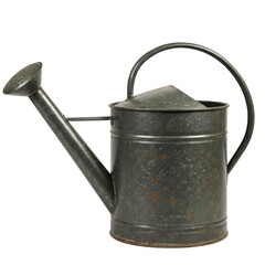 Rusty Aluminum Watering Can, Isolated on White Background