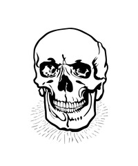 Obraz premium human skull