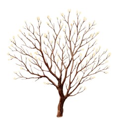 Obraz premium tree with leaves