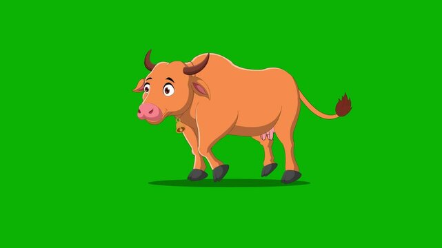 Cartoon brown medium cow character run right to left on green screen. Cute character animal running. Funny isolated moves creature useful animation.