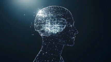 Obraz premium Abstract Digital Human Head Network Connections