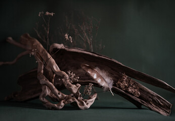 Still life. Autumn mysticism, melancholy. Emotional composition.
