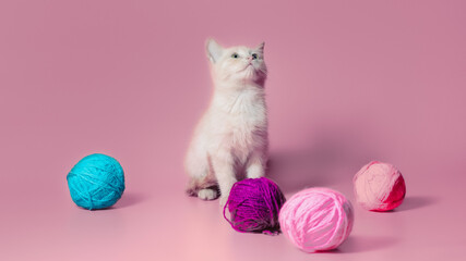 kitten with multi-colored balls of woolen threads on a pink background