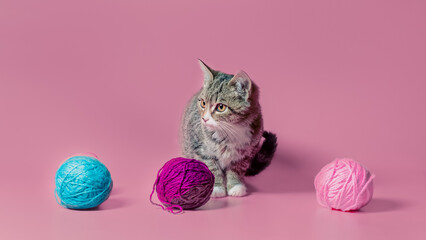 kitten with multi-colored balls of woolen threads on a pink background