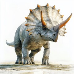 Fototapeta premium Triceratops dinosaur, prehistoric creature, paleontology illustration, white background, educational resource