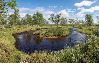 A small natural brook flowing through marshlands at the uplands of Utsjoki on a sunny summer day, Finnish Lapland