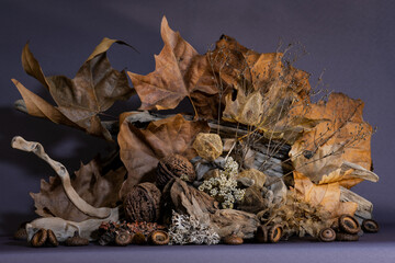 Still life. Autumn mysticism, melancholy. Emotional composition.