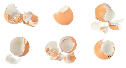 egg shells on white isolated background	