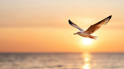 Fototapeta premium silhouette of bird flying against fiery sunset over ocean