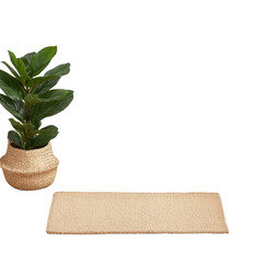 Elegant indoor plant in a stylish pot on a cozy mat, perfect for home decor., isolated on a transparent background.