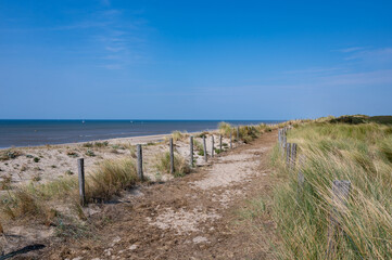 Path through the dunes with fence and beach grass on the North Sea coast