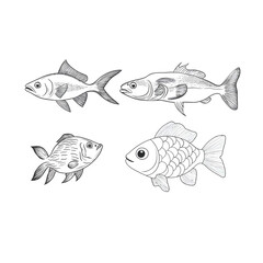 Fototapeta premium Colorful 2D Flat Vector Illustration of a Cute Fish with Vibrant Design, Perfect for Ocean, Marine, and Cartoon-Themed Graphics