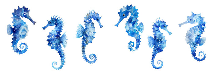 Set of colorful sea horse animal watercolor isolated on white background. Vector illustration © SunwArt