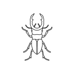 black and white bug outline vector illustration