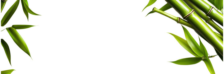 Fototapeta premium Bamboo Icon on White Background, minimalistic design, clean aesthetic, ideal for nature-themed projects, branding, and digital applications