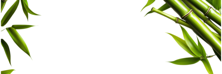 Bamboo Icon on White Background, minimalistic design, clean aesthetic, ideal for nature-themed projects, branding, and digital applications