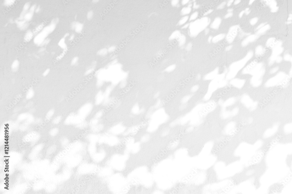 Canvas Prints leaves shadow with sunlight effect on concrete white textured wall. leaf shadow overlay effect