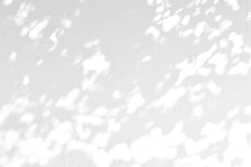 Leaves shadow with sunlight effect on concrete white textured wall. leaf shadow overlay effect
