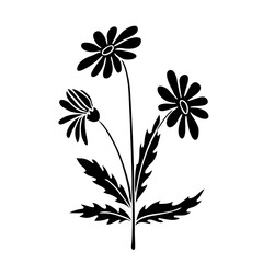 Single daisy or chamomile flower black stencil silhouette isolated on white. Hand drawn wildflower with stem and leaves. Vector clipart for floral illustration, screen printing, cutting, application.