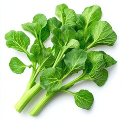 Fresh bunch of vibrant green bok choy, showcasing crisp leaves and sturdy stems, perfect for healthy cooking and meal preparation on a white isolated background.