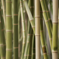 Fototapeta premium Sustainable Serenity Bamboos LightColored