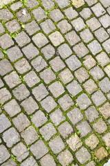 Fragment of a stone path among the grass