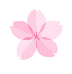 Fototapeta premium 桜の花びら